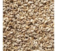Weterton Feeds 20kg Sunflower Hearts for Wild Birds- Premium Grade