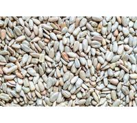 Weterton Feeds 25kg Sunflower Hearts for Wild Birds (12.5 kg x 2)
