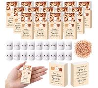 Wettarn 24 Sets Team Employee Appreciation Gifts S'More Marshmallow Ornaments with Mini Gift Box Christmas Thank You Gifts Inspirational Puns Notes Gifts for Office Colleagues Coworkers Staff