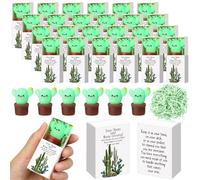 Wettarn 48 Sets Cactus Positive Gifts Cute Stress Balls with Believe in Yourself Gift Boxes Party Favors for Students Coworkers Employees School Office Relief Inspirational Desk Accessories