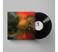 We've Been Going About This All Wrong by Sharon Van Etten Vinyl 12" Album