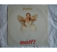 We've Got A Fuzzbox And We're Gonna Use It - FUZZBOX Self 12"