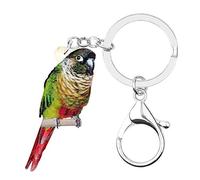 WEVENI Acrylic Green-cheeked Parakeet Keychain Crimson Rosella Parrot Charms Bird Jewelry For Women Girl (Multicoloured)