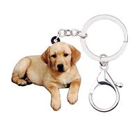 WEVENI Acrylic Labrador Retriever Dog Key Chains Pets Key Ring New Jewelry For Women Girl Bag Purse Car (Brown)