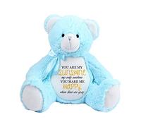 Wevow You are My Sunshine Word Art Sayings Pattern Quote Funny Inspirational Typography Humorous Teddy Bear Soft Toy. (Baby Bear Blue)