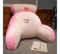 WEYIMVTO Back Support Cushion with Arms for Working on the Laptop, Watching TV(Pink,60 * 45CM)