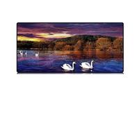 WEYIMVTO computer desk mat, Mouse Mat Landscape Swan Pad,Non-Slip Rubber Office Desk for Laptop(3mm,1200x600mm)