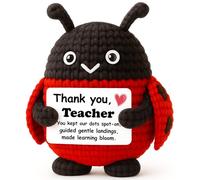 WEYON Teacher Mini Crochet Ladybug Plush with Story Pun Card, Handmade 4‘’, “Spot-On Class”, Stocking Stuffer, Secret Santa, Cute Classroom Desk Décor