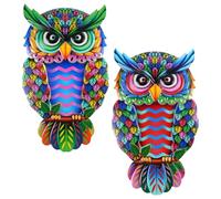 Weysoo 2 Pack Metal Owl Wall Art Decor, Colorful Owl Garden Ornaments, Wrought Iron Wall Hanging Decoration for Garden Fence Patio Porch Yard Indoor Outdoor
