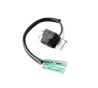 WeZcHEN 63V-85580-00 Pulser Coil Assy Fit For Ymh 2 Stroke 9.9HP 15HP Boat Engine Parts 63V-85580 63V-85580-00-00 Boat Motor