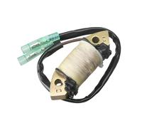 WeZcHEN 68T-85520 Boat Motor Charging Coil Assy for YA 4-stroke Outboard Engine 6HP 8HP 9.9HP 68T-85520-00-00