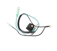 WeZcHEN 6E0-85592-70 Pulser Coil Assy Generator For YA 4HP 5HP 2-Stroke Outboard Engine 6E0-85592-70-00 Accessories