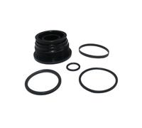 WeZcHEN Trim Cylinder Ram Rebuild Kit Fit For Engines 430-740 AD D DP SP SM SX TMD TAMD Series 3860881 to Hydraulic Cylinders