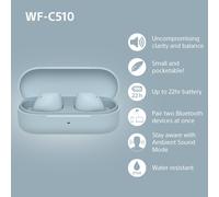 WFC510L.CE7 Wireless In ear headphones - Blue