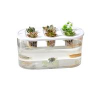 WGBOSMG Functional Clear Hydroponic Box Facilitating Plant Root Viewing Simple Upkeeps and Interior Decoration for Households Water Culture