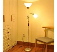 WGFJKI Adjustable Gooseneck Floor Lamp Silver Wrought Iron Double Head LED Standing Lamp with Button Dual Control for Living Room Bedroom Office Beautiful Decor