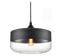 WGFJKI Ceiling Lamp Black Metal Pendant Light Clear Glass Dome Hanging Drop Lamp Art Ceiling Dining Rooms Adjustable E27 Pendant Lamp for Cafe Bar Table Game Room