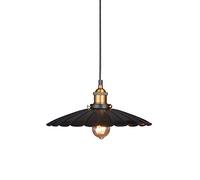 WGFJKI Chandelier Pendant Light Small Umbrella Hanging Light Fixtures Frosted Iron Ceiling Lamp with Baking Paint Process for Vintage Loft Living Room Chandelier (Color : Dark, Size : Grey Wolf)