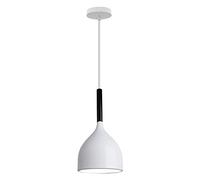 WGFJKI Jadssox Pendant Light Dome Hanging Lamp Kitchen Island Lighting Fixture, Nordic Suspended Lamps Chandelier Ceiling Lights for Dining Room Living Room Bedroom Coffee