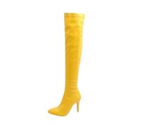 WGFJKI Womens Over The Knee Boots Pointed Toe Thin Heel Holiday Pary Casual Long Boots