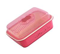 WGFOIP Double Layer Plastic Thickened Drainer Basket Large Capacity with Lid for Kitchen, Washing Vegetable Baskets Ideal for Fruit Storage