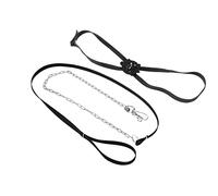 WGFOIP Harness Leash Adjustable Soft Reptile Strap Set for Outdoor Adventures, Made of Polyester and Velvet, 1 X Traction Rope 1 X Traction Collar (Large)