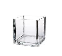 WGV Cube Glass Vase, Candle Holder, 5"x5"x5", Utility, Clear Elegant Floral Accent Container Planter Terrarium Storage for Wedding Party Ceremony Event Office Home Decor, 1 Piece