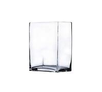 WGV Rectangle Block Vase, Length 6", Width 4", Height 6", Clear Floral Glass Container Candle Holder Wedding Party Event, Home Office Decor, 1 Piece