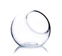 WGVI Glass Vase, 1 Piece, Orbit 5.5" H