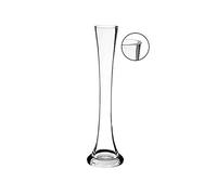 WGVI Glass Vase, 12" H