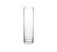 WGV Clear Cylinder Glass Vase, 14-Inch