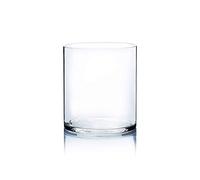 WGVI WGV Cylinder Vase, Width 9", Height 10", Clear Wide Large Diameter Flower Glassware, Floral Container, Planter Terrarium for Wedding Party Event, Home Accent Decor, 1 Piece