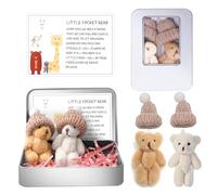 Whaikin 2 Pcs Worry Bear Hug in a Box,A Little Pocket Bear Hug,Mini Worry Bears with Inspirational Card,Handmade Mini Plush Bears in Box,Positive Gifts for Kids,Friends(Brown & White)