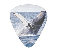 Whale Above Sea Water Printed Guitar Picks 12 Pack Picks Sampler With Storage Box For Guitar Bass Ukulele 0.46mm