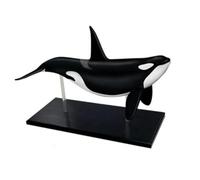 Whale Animal Anatomy Organ Ocean Fish Model Animal Anatomical Models Marine Organism Model Of Dolphin Internal Organs 18-Piece Detachable Blue Animal