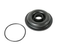 Whale Gaiter Kit for Deckplates AS3725