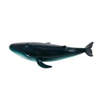 Whale Model Toy Educational Lifelike Ocean Animal for Learning Play Kids 3 Plus, Safe and Durable, 1 Piece (Soft Rubber)