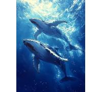 Whale Paint by Numbers for Adults, Ocean Painting by Numbers DIY Color Oil Painting Hobbies for Adults Women with Acrylic Paint Brush Set for Room Decor, Wall Art, Gifts 40 x 60 cm -zjn2507QV1C