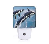 Whale Print Night Lights,Night Light Plug in Wall,Night Lights for Adults,Hallway,Kitchen, Plug in Night Lights for Bedroom, Corridor