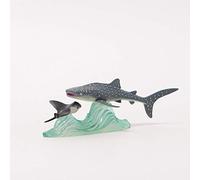 Whale shark encounter (japan import)