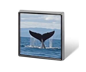 Whale Tail Lapel Pin Brooches Square Fashion Brooch Pin Cute Button Badges Alloy Button Pins Enamel Pins Metal Pinback for Hat Shirt Clothing Bags