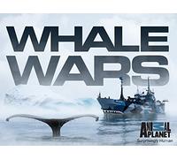 Whale Wars Season 6