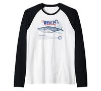 Whale Watching Humpback Whales Orca Sea Animals Women Kids Raglan Baseball Tee