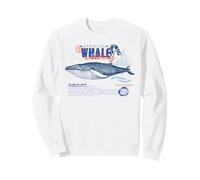 Whale Watching Humpback Whales Orca Sea Animals Women Kids Sweatshirt