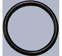 Whale Watermaster O Ring -