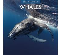 Whales - 2026 Square Wall Calendar - by Red Robin Publishing