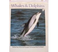 Whales and Dolphins