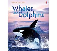 Whales and Dolphins (Usborne Discovery)