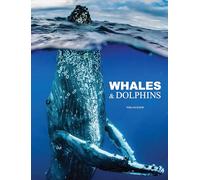Whales & Dolphins (Animals) (Animals in Photographs)