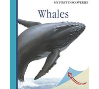 Whales (My First Discoveries) - Christmas Ocean Gift About Marine Giants for Wildlife Enthusiasts